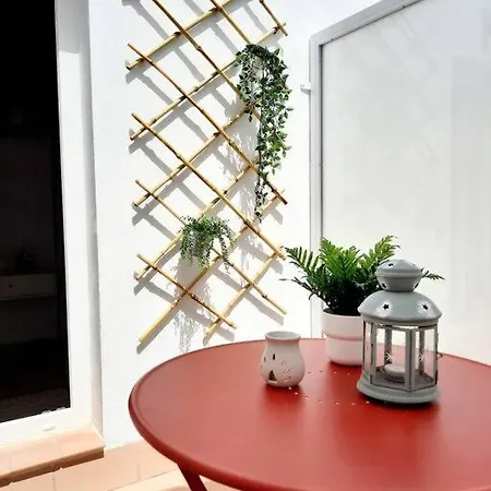 Loft Centrico Con Patio Bodega San Javier